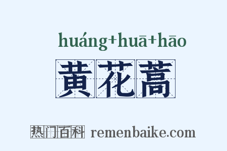黄花蒿是什么意思的图片